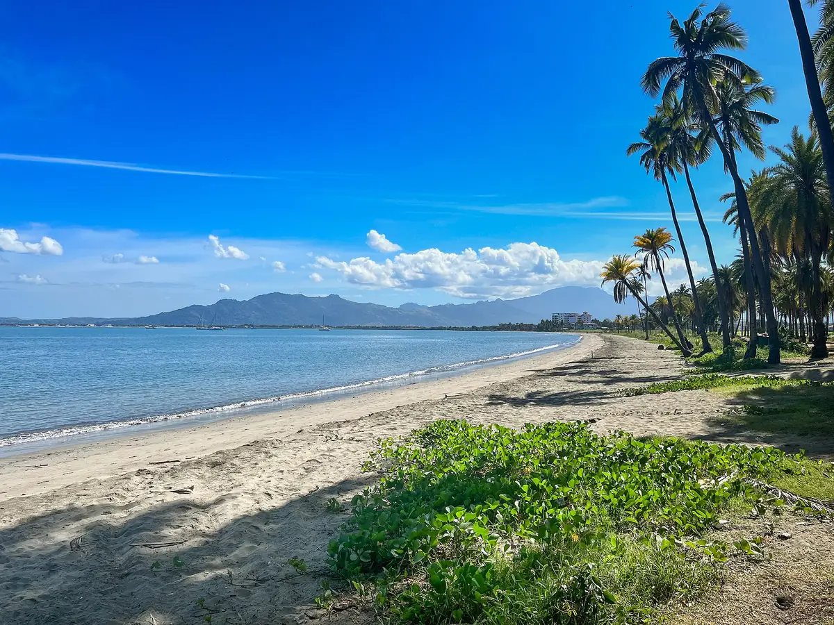 Palm-lined beach, Fiji
