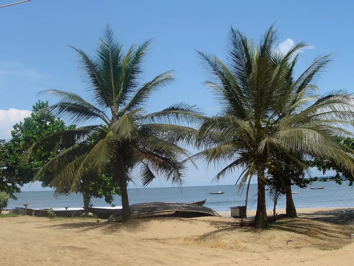 Palm beach at Kribi, Cameroon
