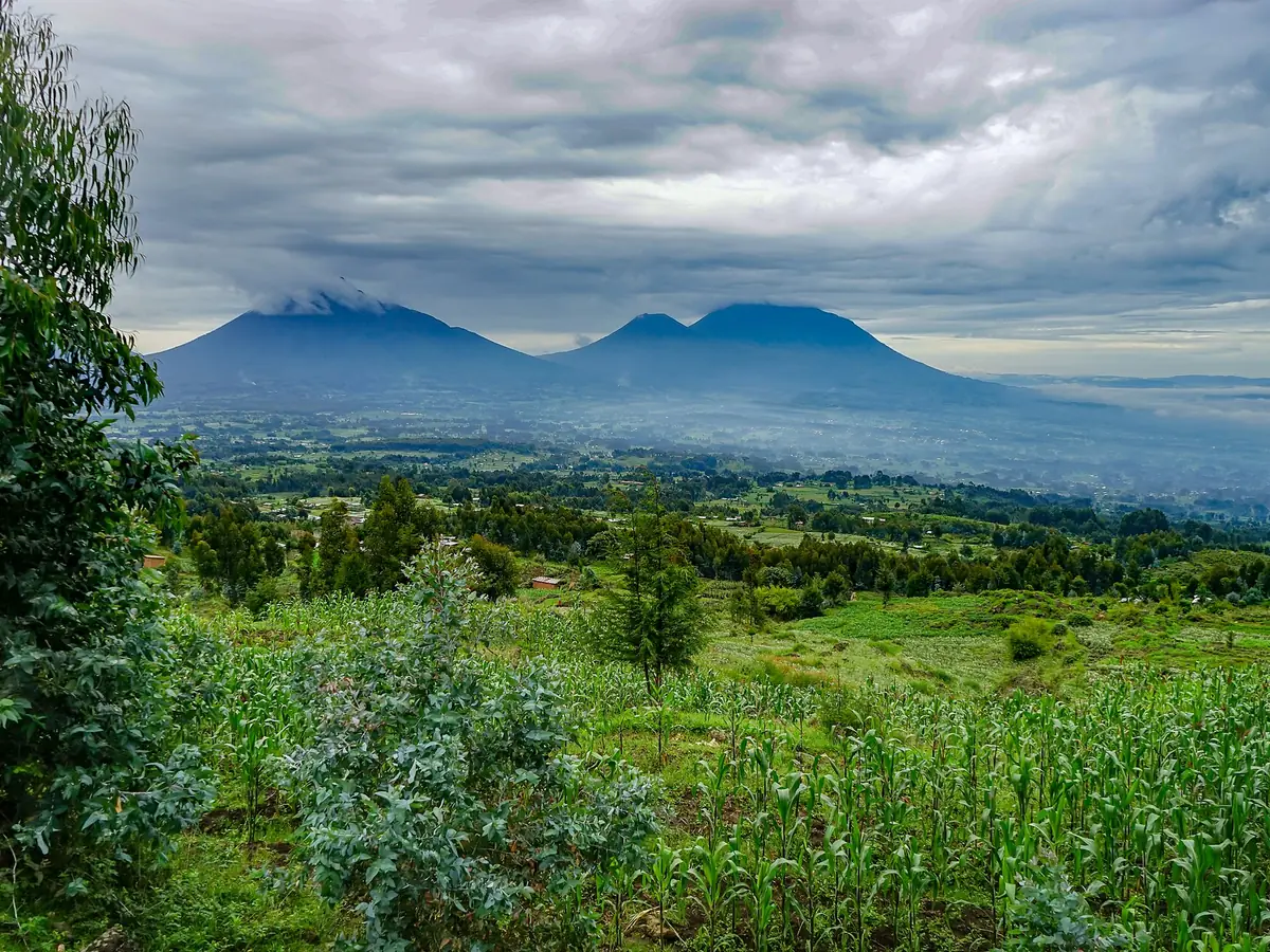 Virunga volcanoes, Volcanoes National Park, Rwanda